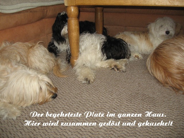 ../Images/Bild 020.jpg